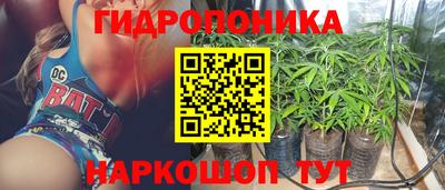шишки Конаково